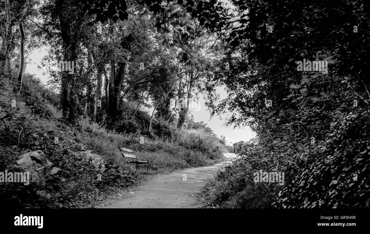 Path through Clifton park, with empty bench - Bristol UK Britain Stock Photo