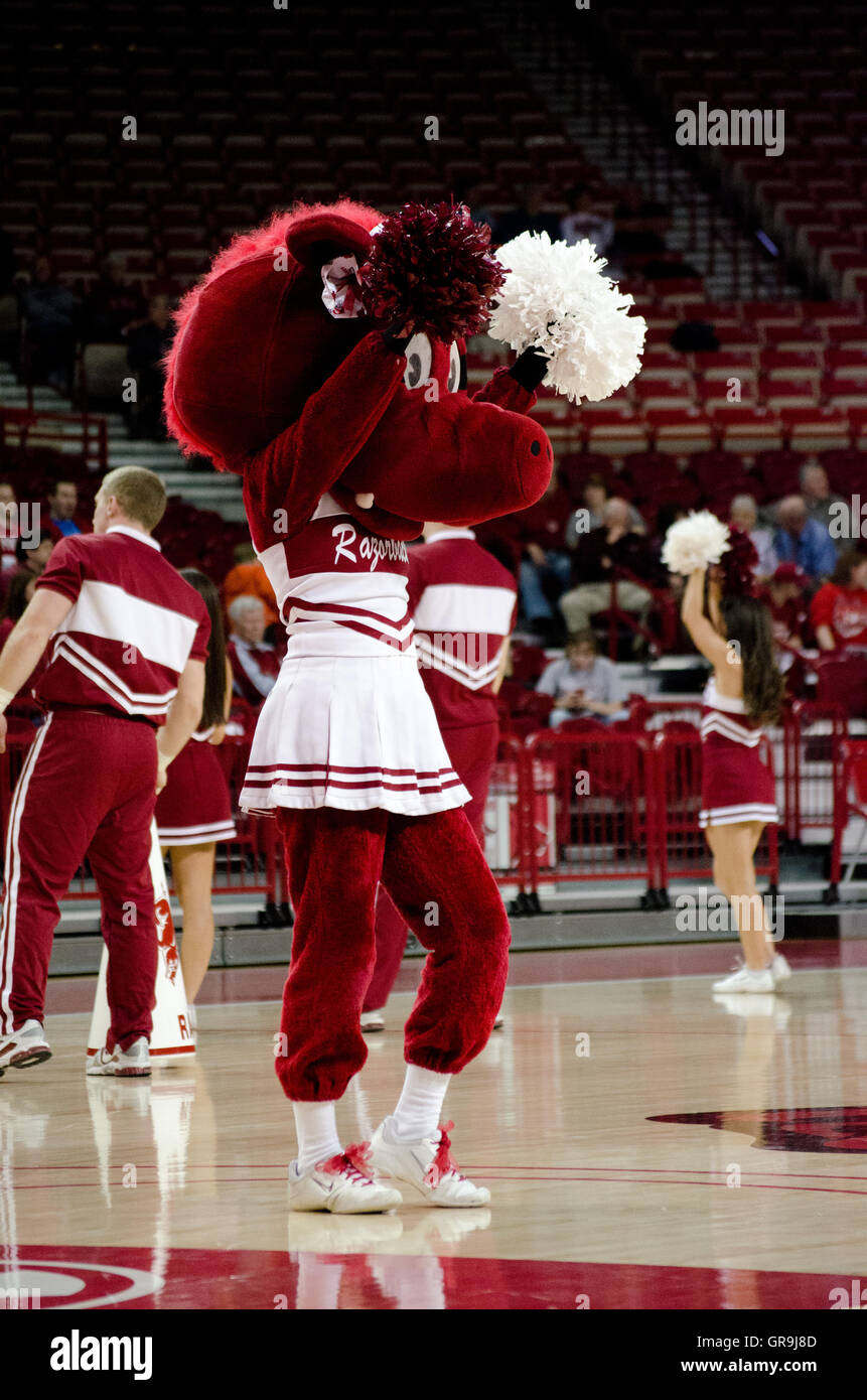 Cheerleaders mascot hires stock photography and images Alamy