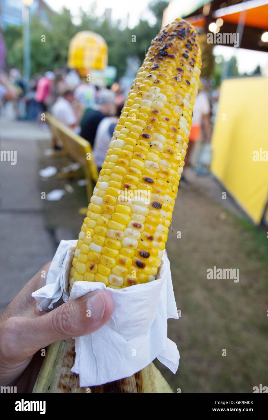 Close up of an ear of roasted corn, being held, at a state fair Stock ...