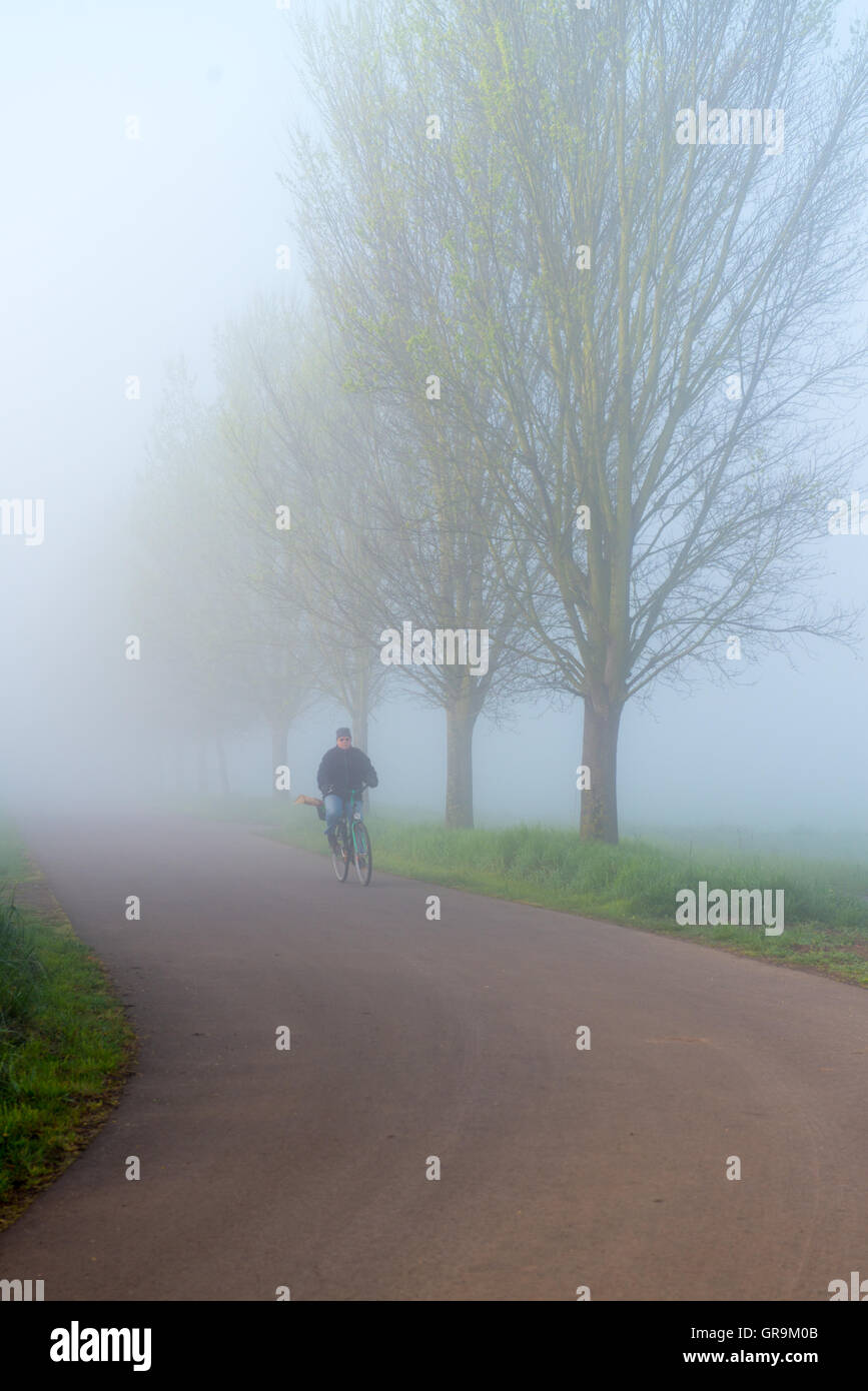 Cyclist In Spring Fog On A Country Road Stock Photo