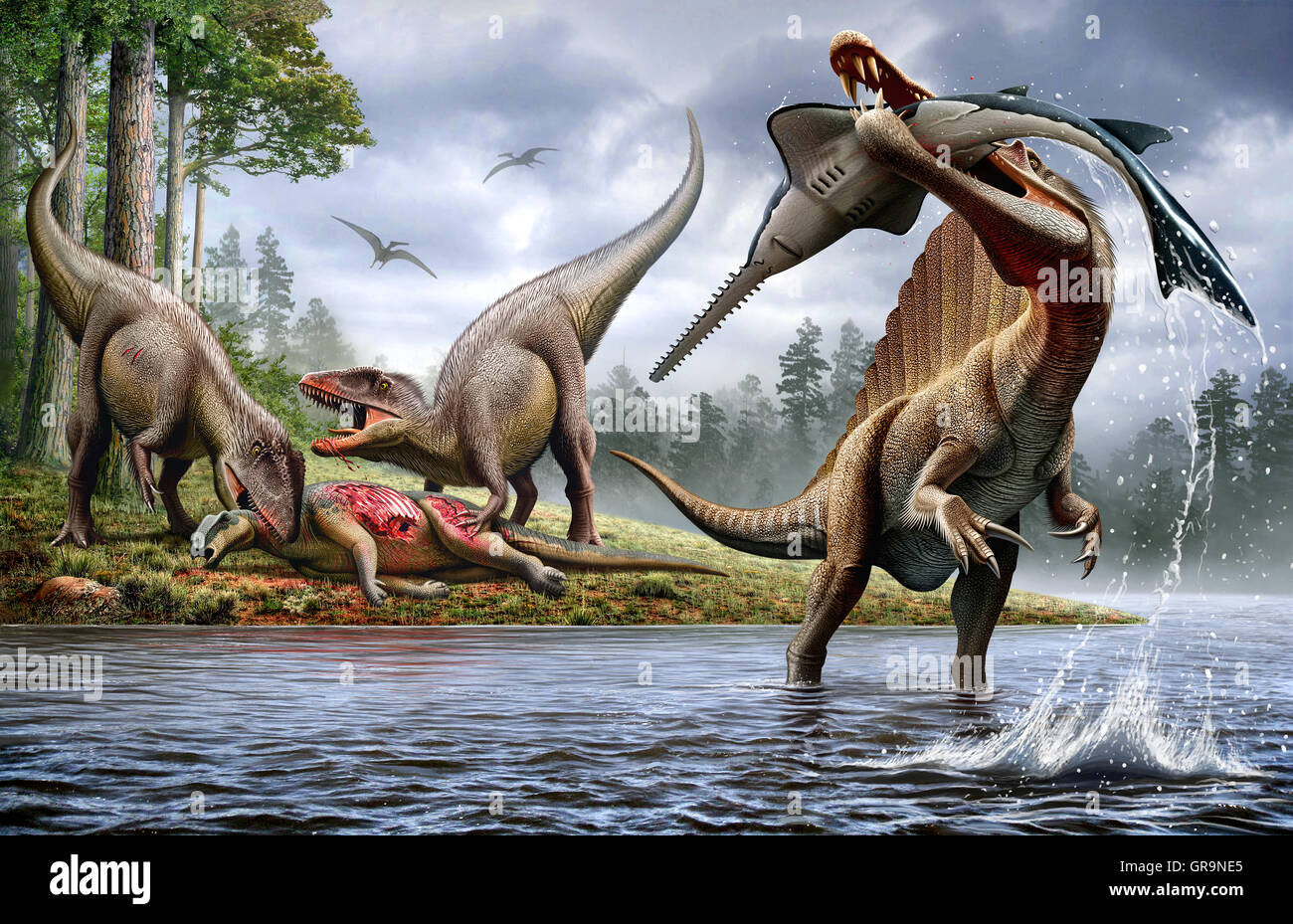 A Spinosaurus hunting an Onchopristis while two Carcharodontosaurus eat the carcass Ouranosaurus in the background Stock Photo