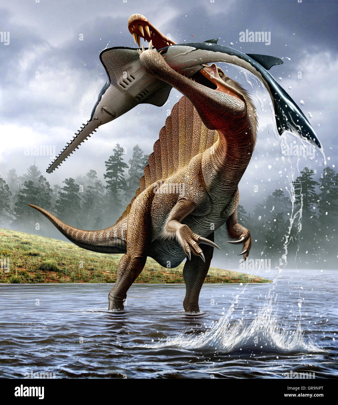 Spinosaurus hunts an Onchopristis Stock Photo