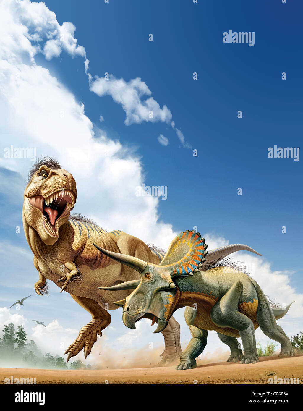 Tyrannosaurus rex is fighting with a Triceratops Stock Photo