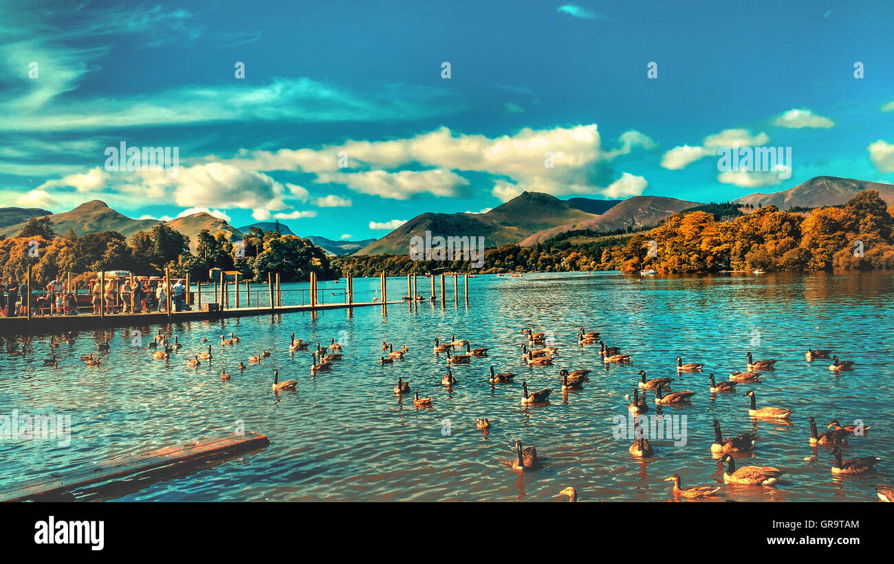 beautiful landscape with lake and ducks and mountains in cumbria Stock Photo