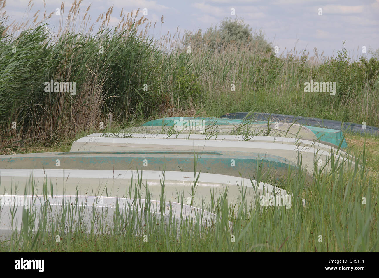 Boats In The Reeds At Lake Neusiedl, Austria Stock Photo