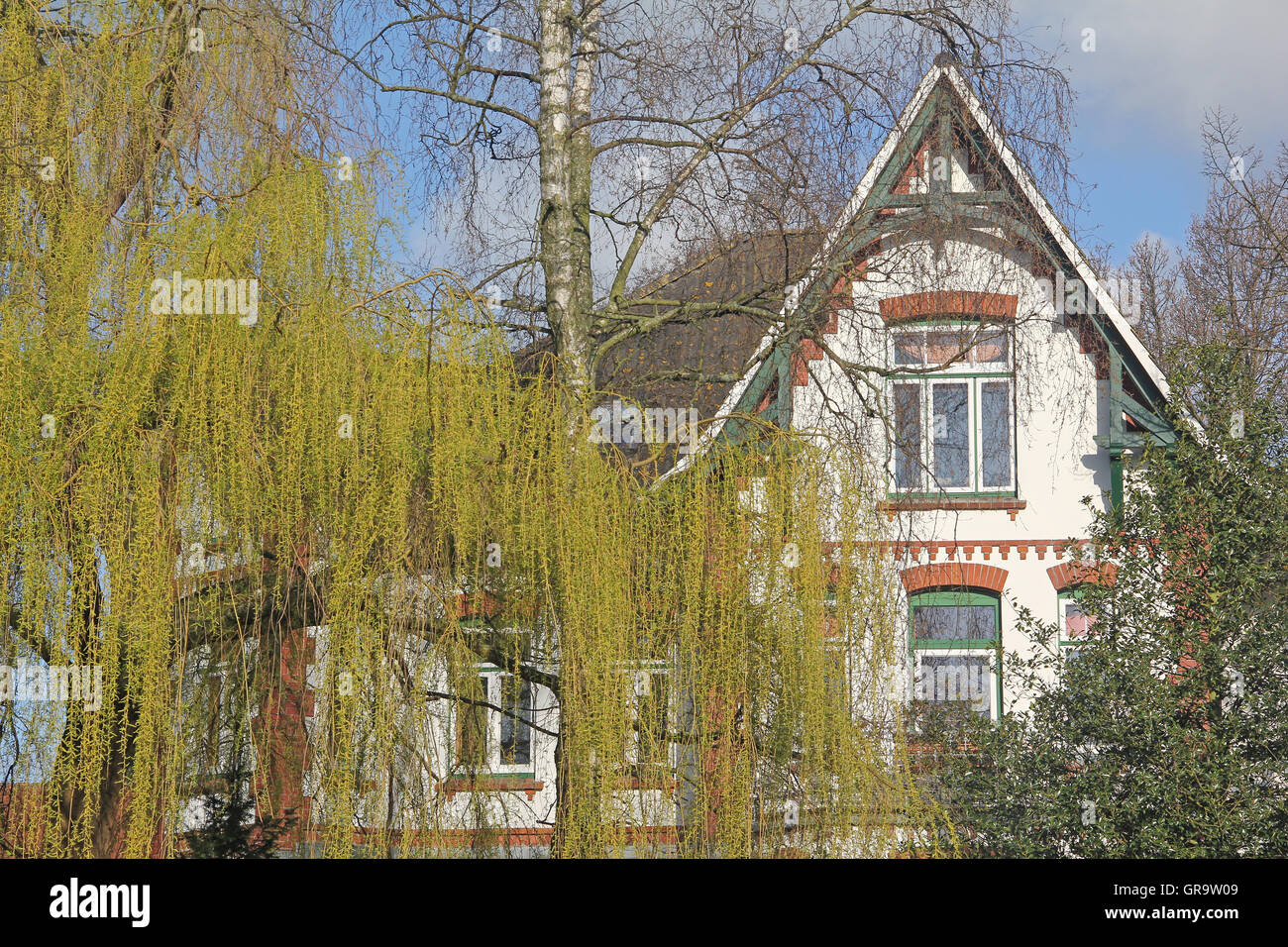 House With Trees In Schleswig-Holstein Stock Photo