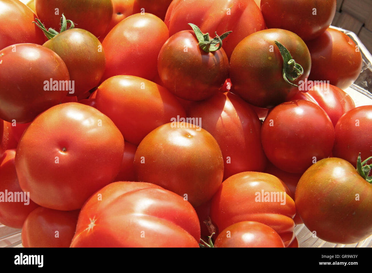 Ripe Tomatoes In A Bowl Stock Photo - Alamy
