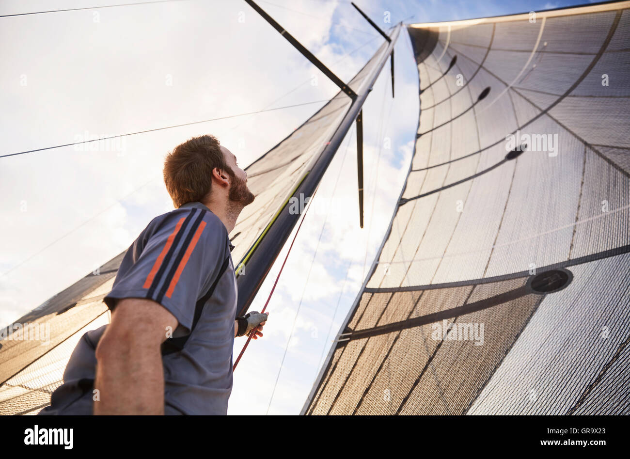 Man sailing looking up at sail Stock Photo