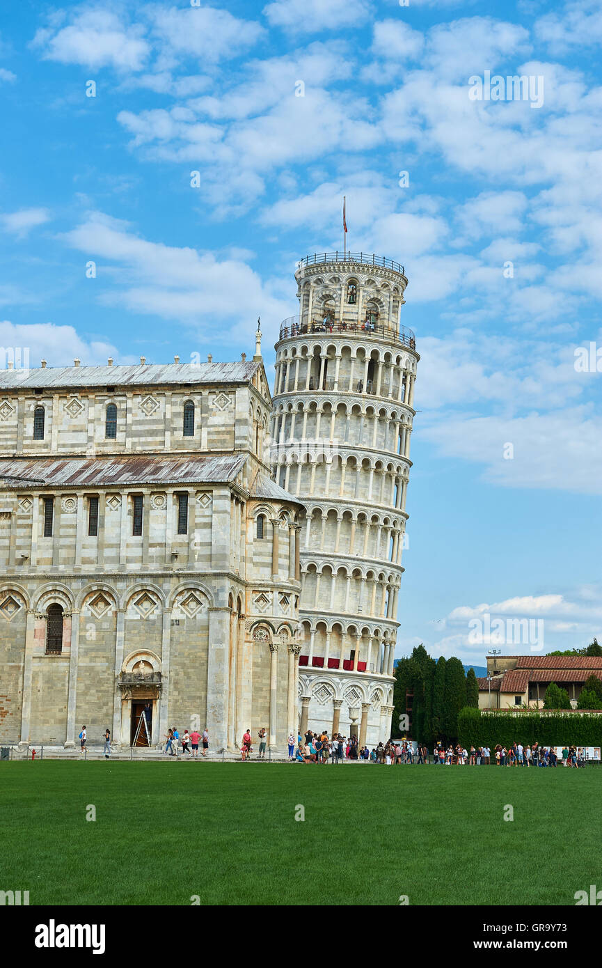 Pisa, Tower Stock Photo