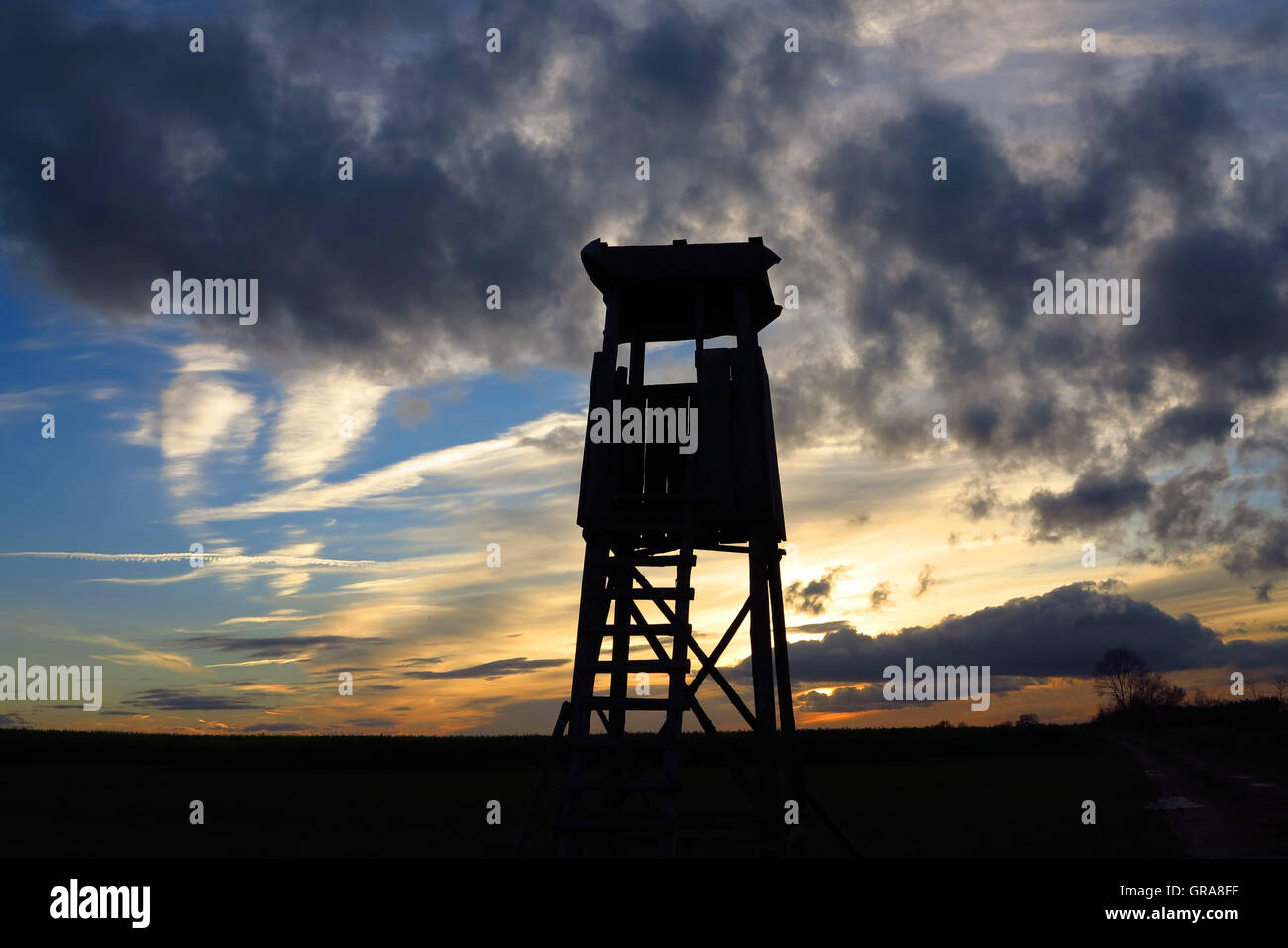 Hunting forests hi-res stock photography and images - Alamy