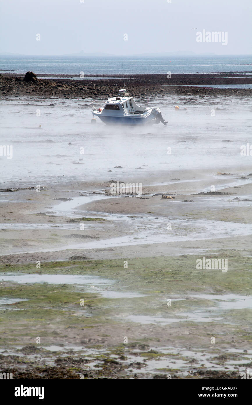 Low tide and morning mist at the harbour, Northumberland Great Britain Stock Photo