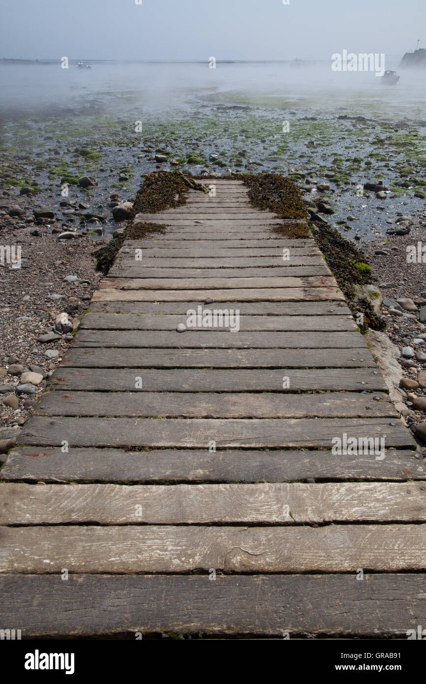 Low tide and morning mist at the harbour on Holy Island, Northumberland Great Britain Stock Photo
