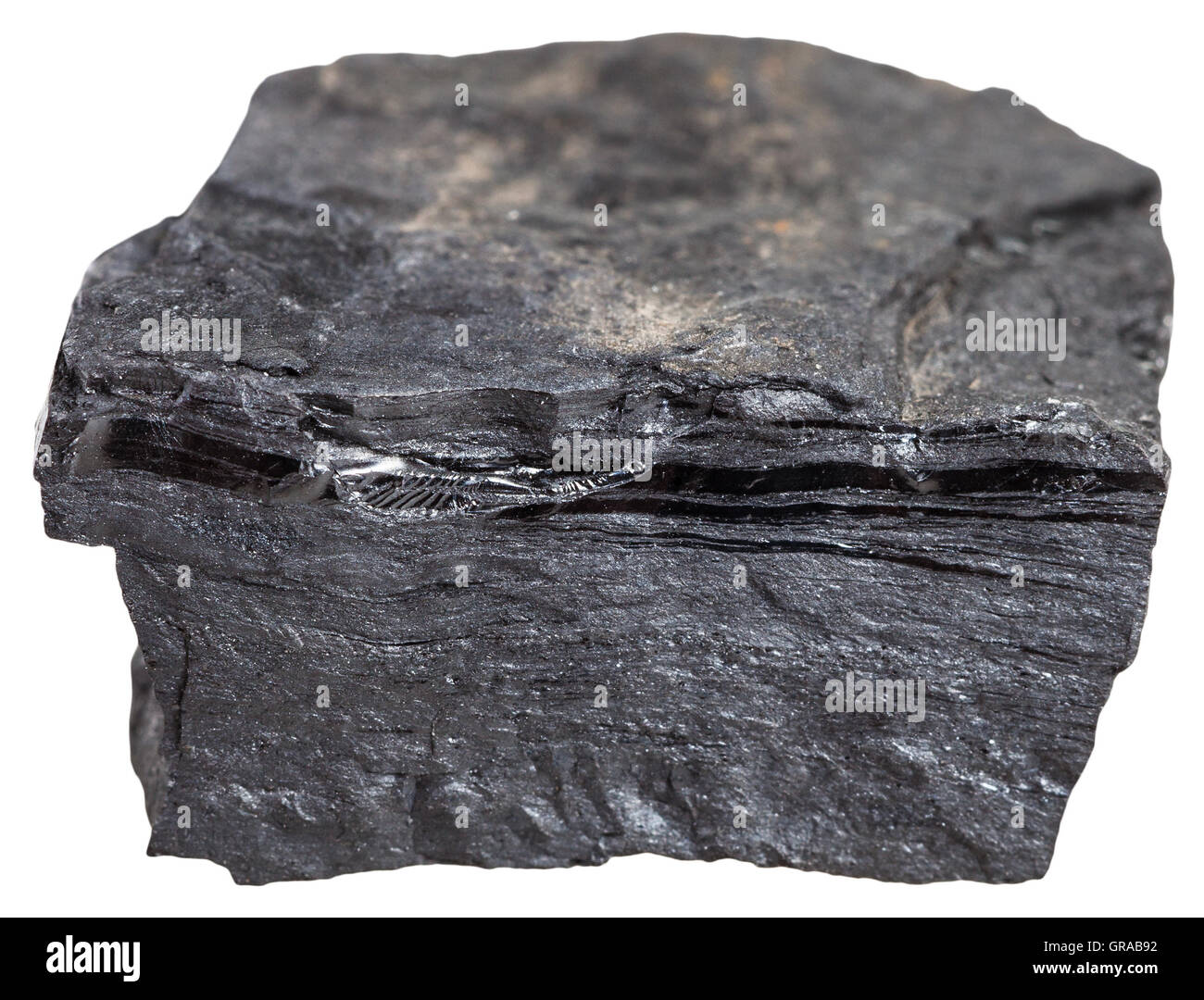 macro shooting of metamorphic rock specimens carbonaceous shale stone