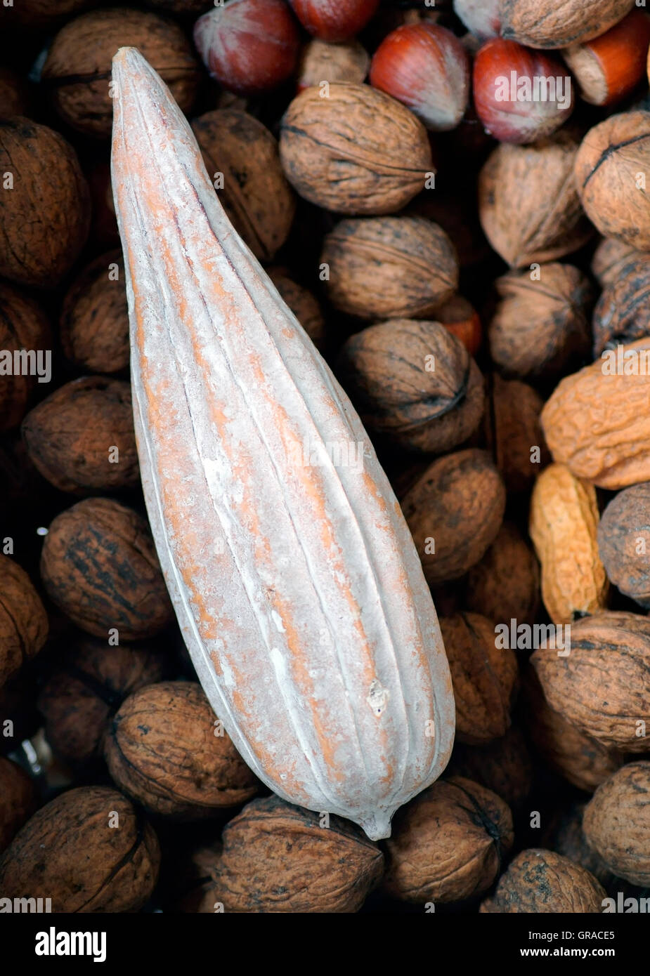 Kakaobohne hi-res stock photography and images - Alamy