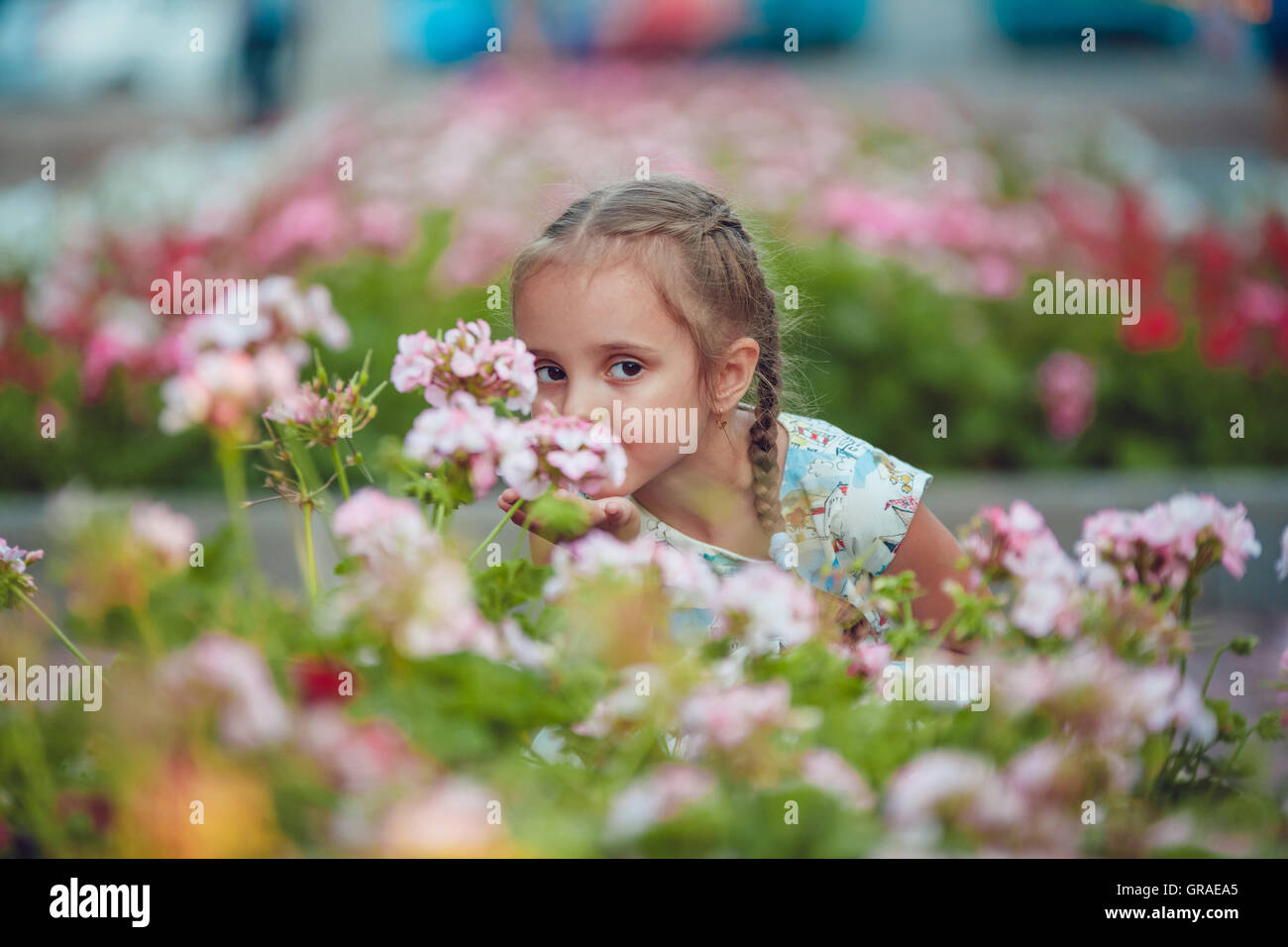 Little girl smelling a flower in the park Stock Photo - Alamy