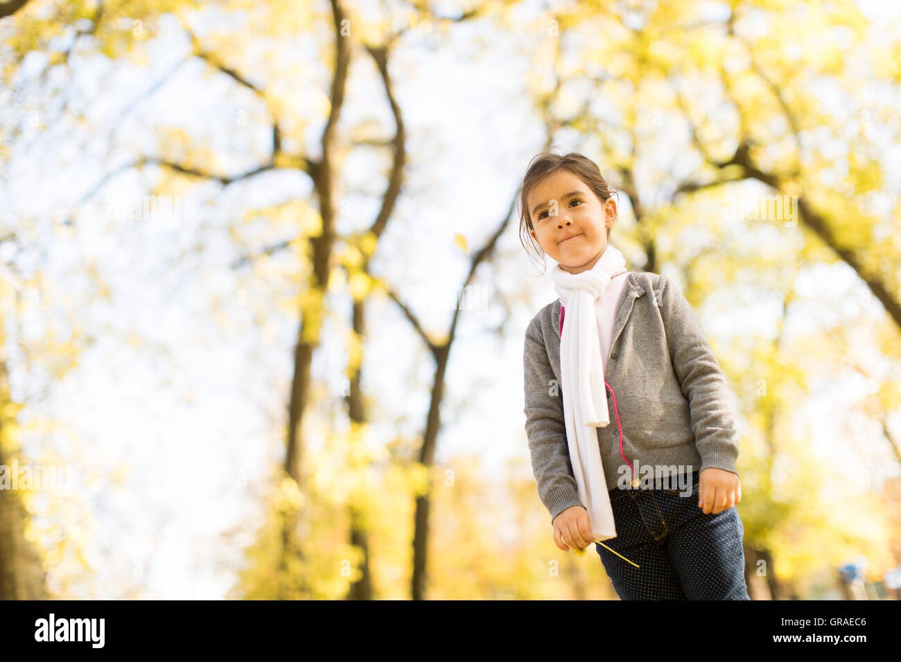 Cute little girl in the park at autumn Stock Photo - Alamy