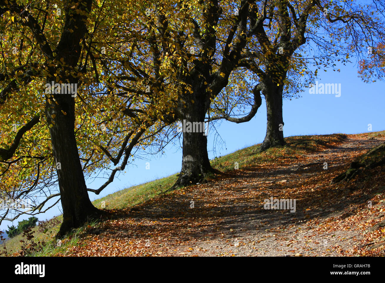 Ipf hi-res stock photography and images - Alamy