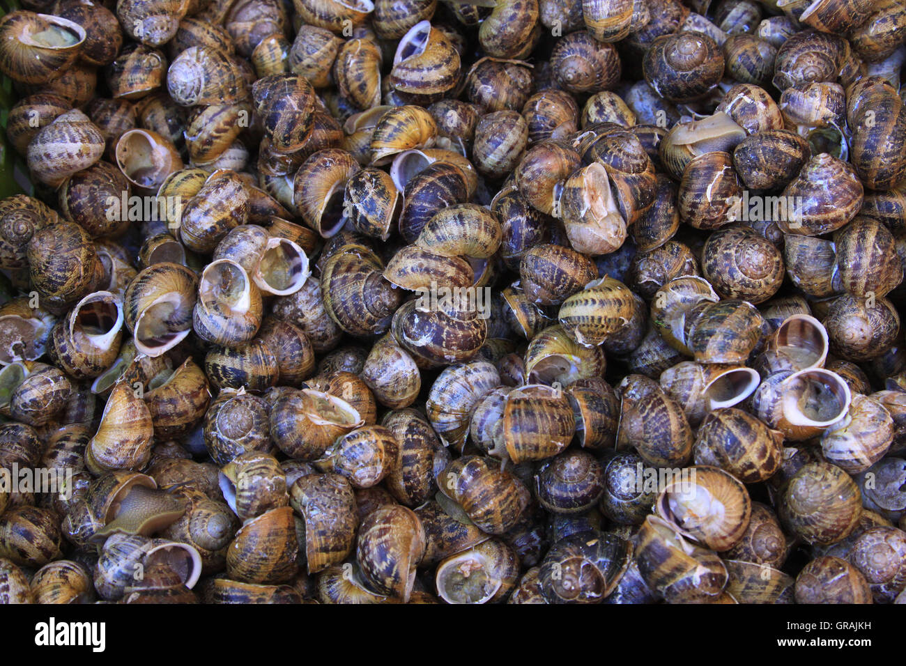 Eat snails hires stock photography and images Alamy