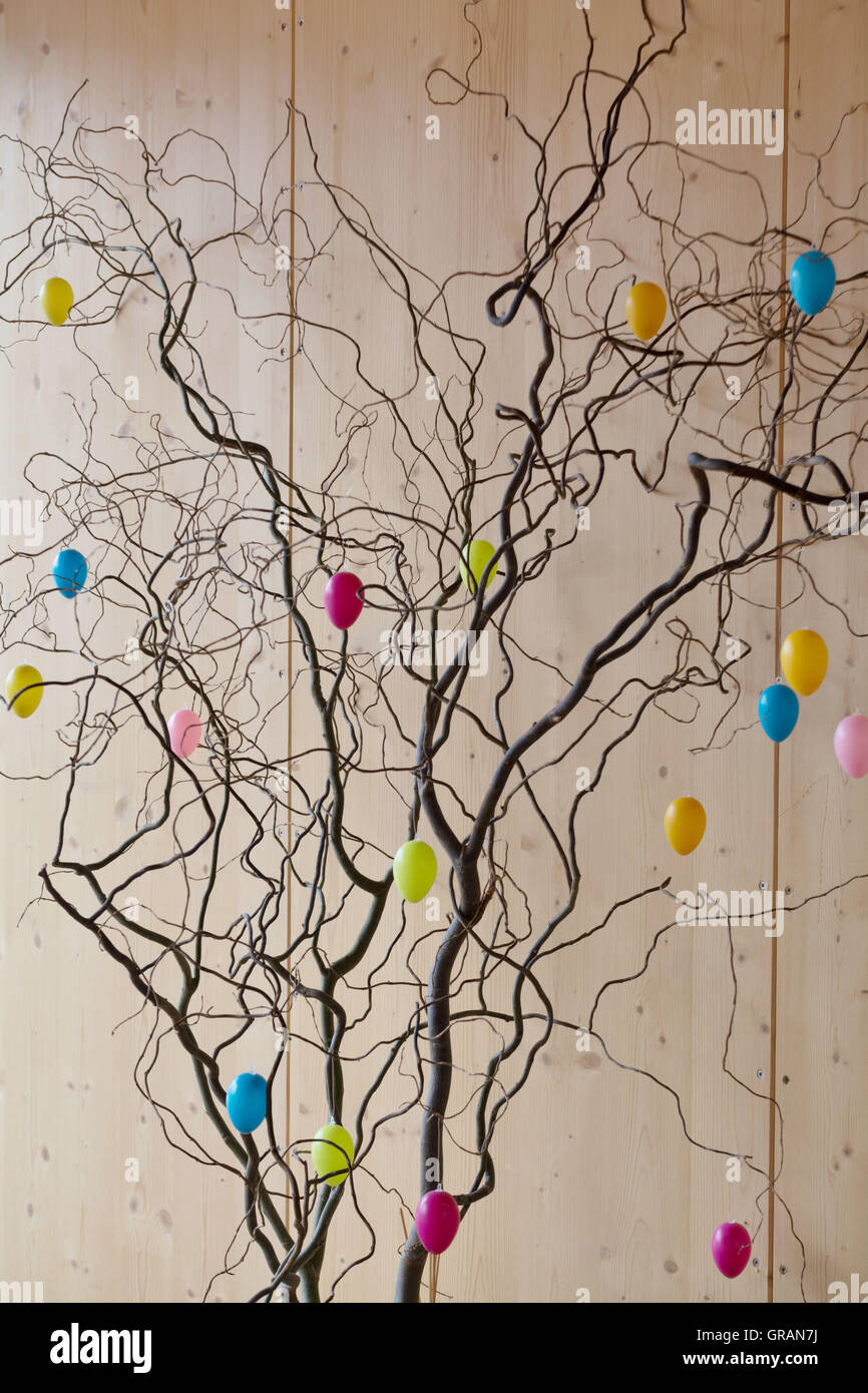 Designed Corkscrew Hazel With Colorful Eggs Stock Photo Alamy