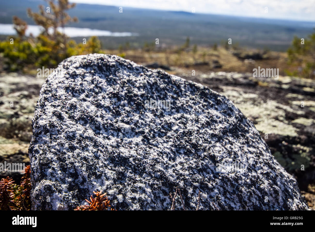 site of rocks and rare specific plants. Low camera position Stock Photo