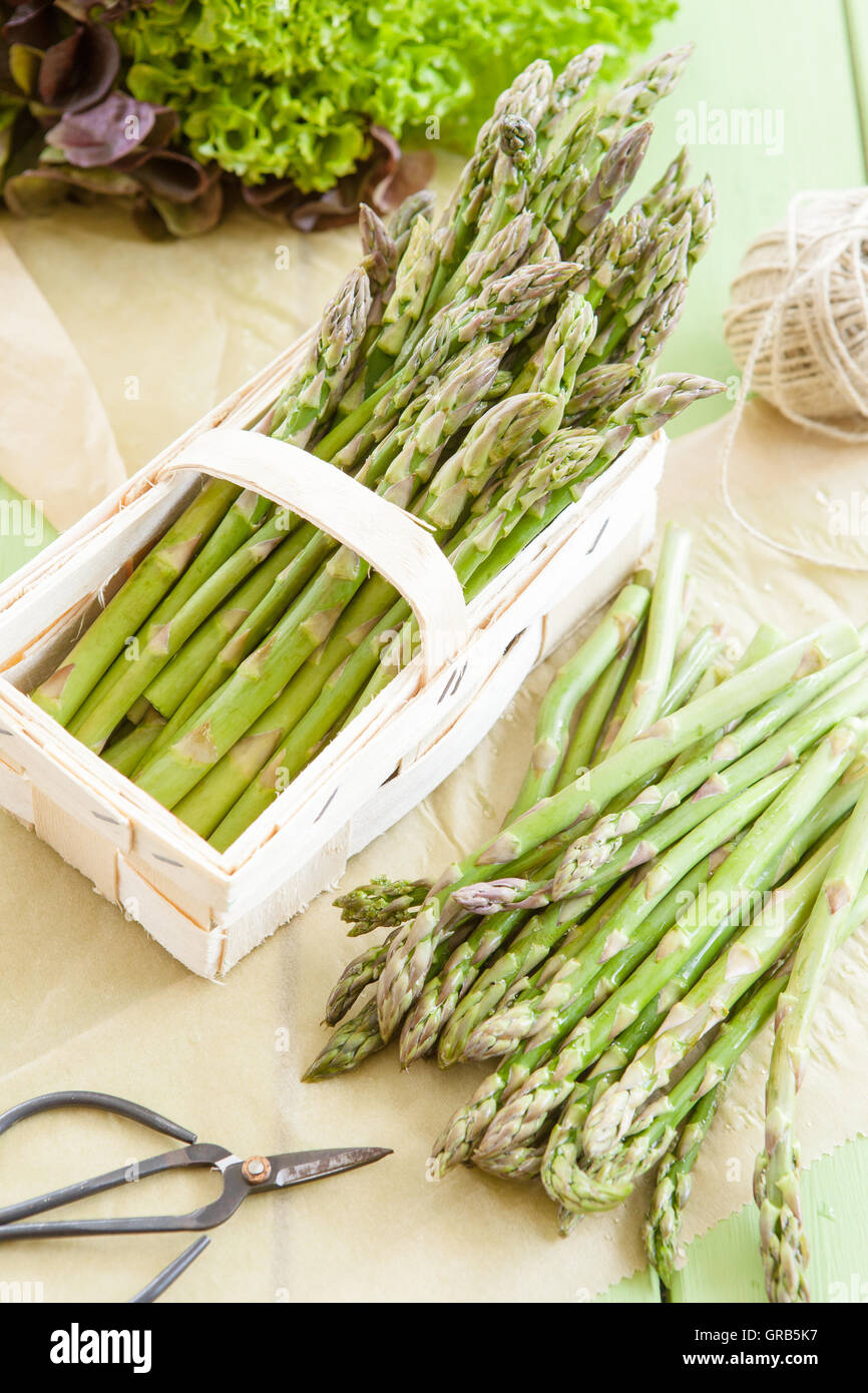 Green Asparagus Stock Photo