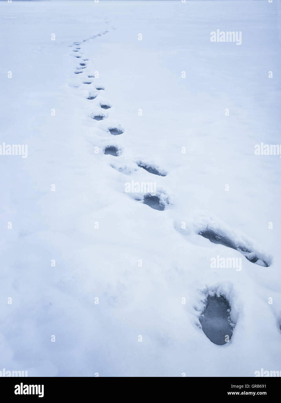 Frozen footprints in the snow Stock Photo