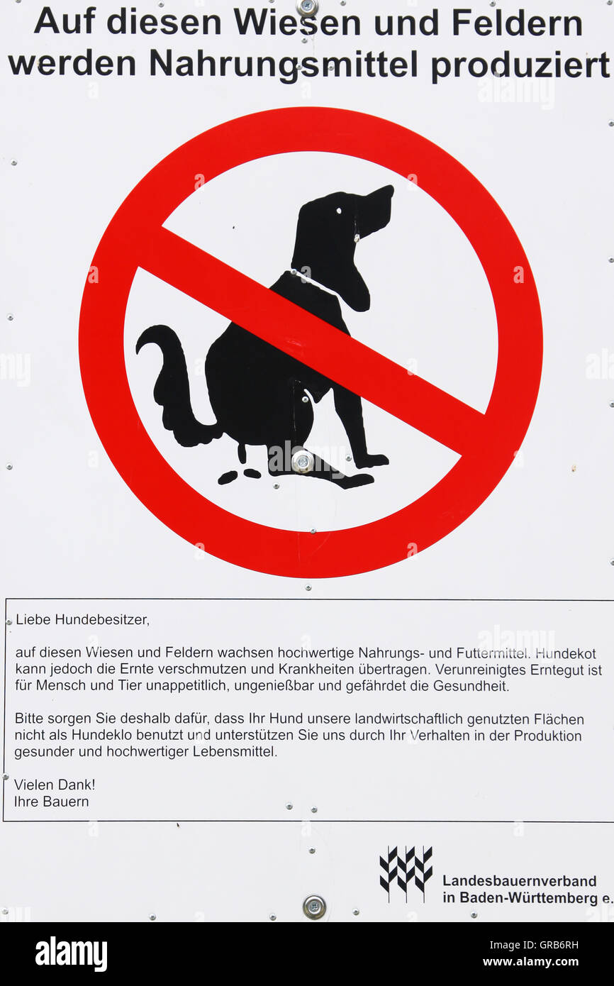 Dog Feces Stock Photo Alamy