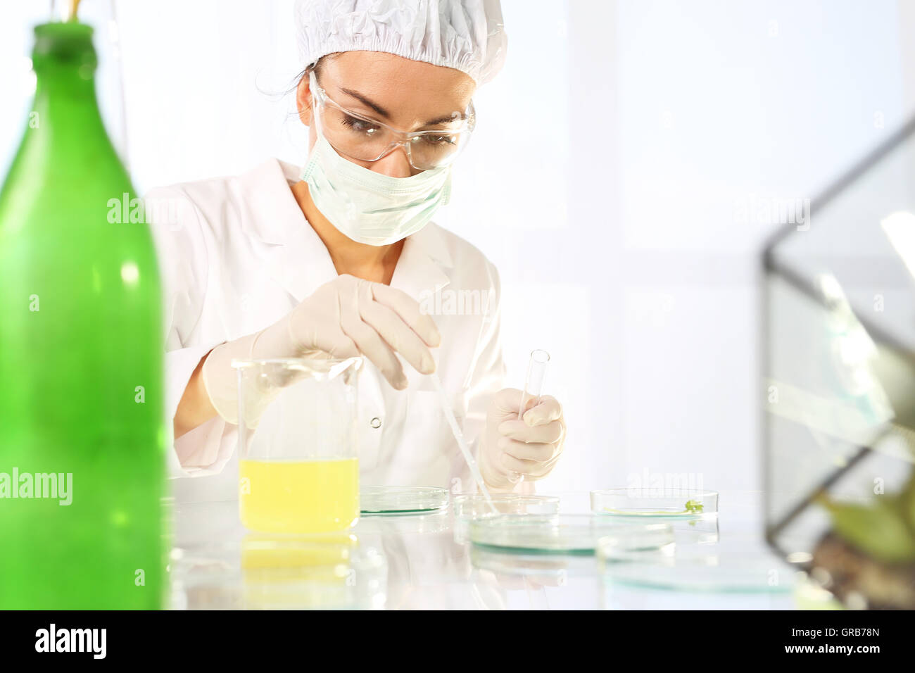 Laboratory testing plant samples Stock Photo Alamy