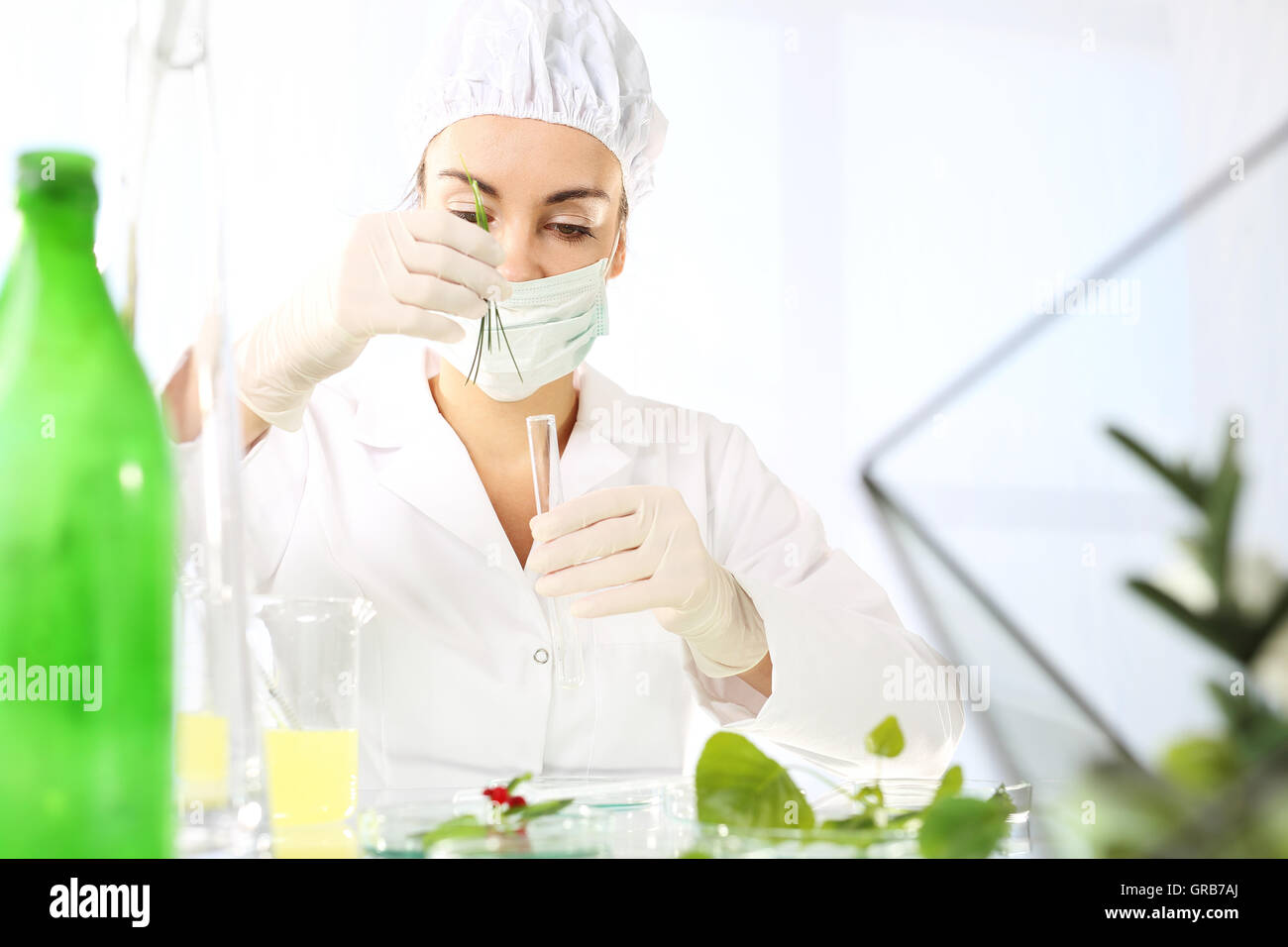 engineering in plant breeding Stock Photo Alamy