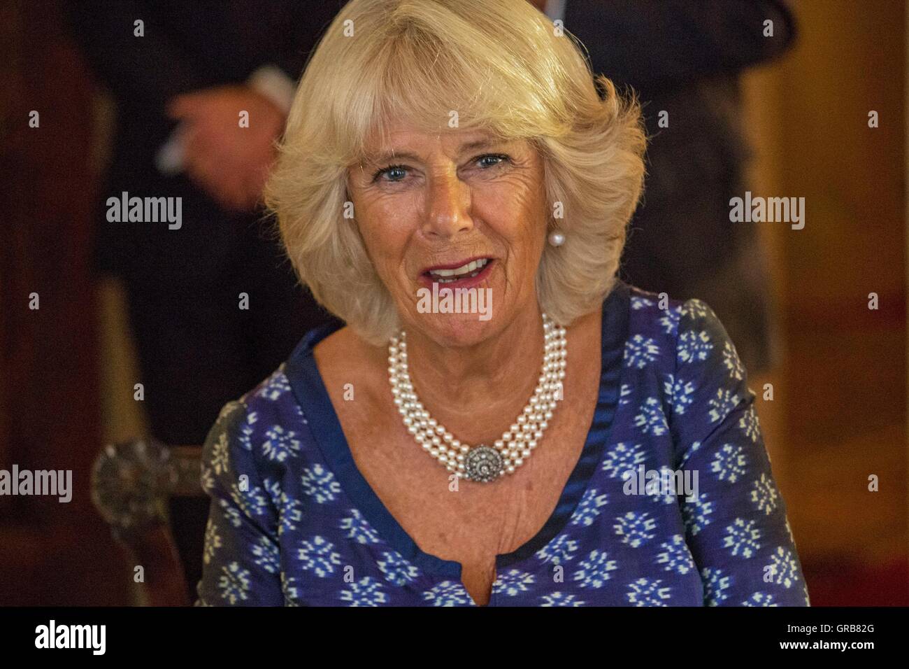 The Duchess of Cornwall during a reception for the Battle of Britain