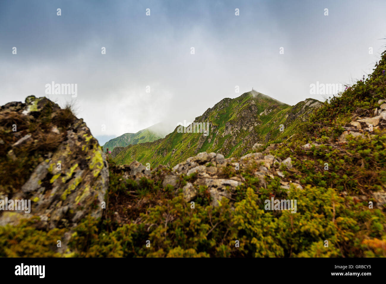 Carpathian mountains Stock Photo