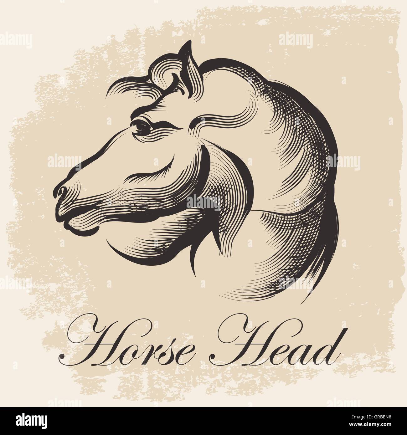 Sketch of Horse Head drawing in retro ink style. Vector Illustration. Stock Vector