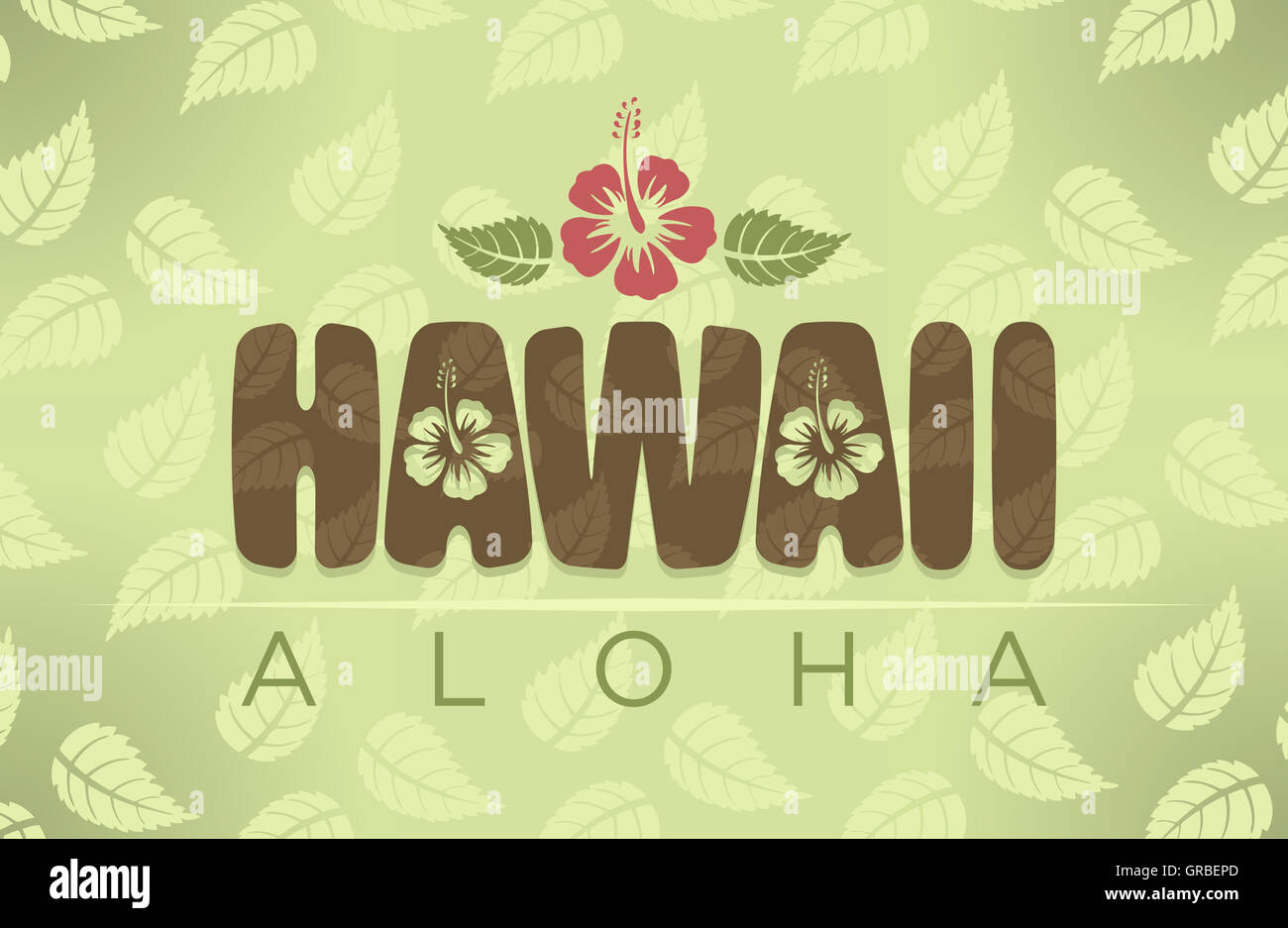 Illustration of Hawaii and Aloha words with hibiscus flowers Stock Photo