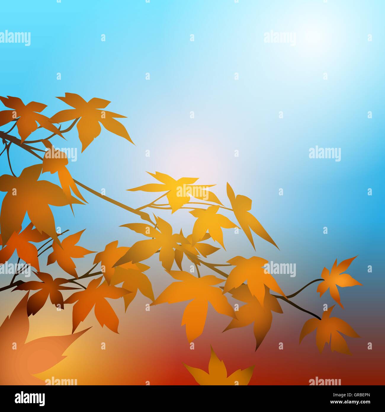 Maple leaves on the branches in the autumn forest. Autumn concept background. Stock Vector