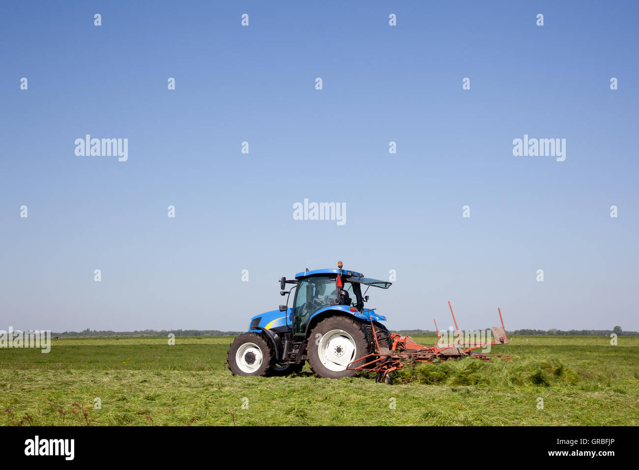 turning grass for drying Stock Photo Alamy