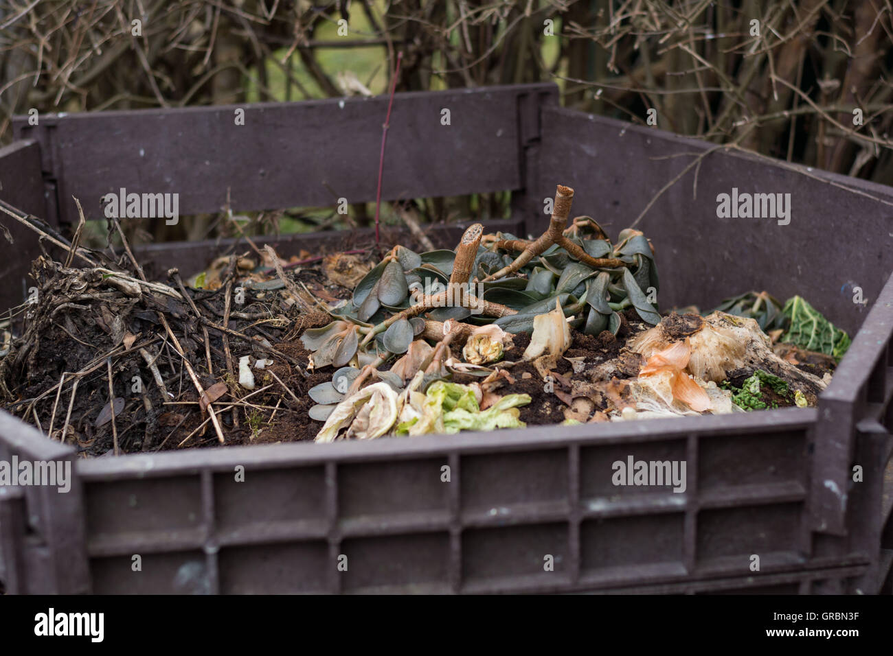 bac a compost Stock Photo