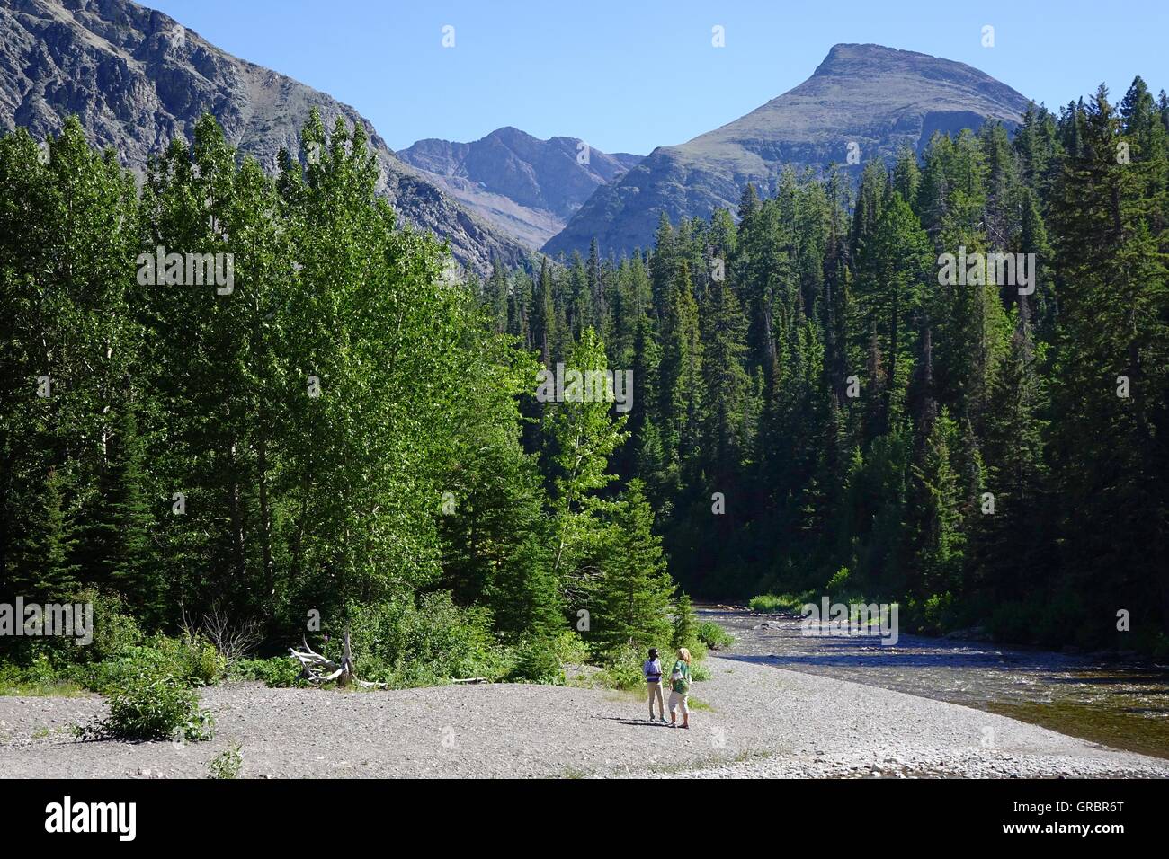 Gravel bank of the Two Medicine River, Glacier National Park, Montana Stock Photo Alamy
