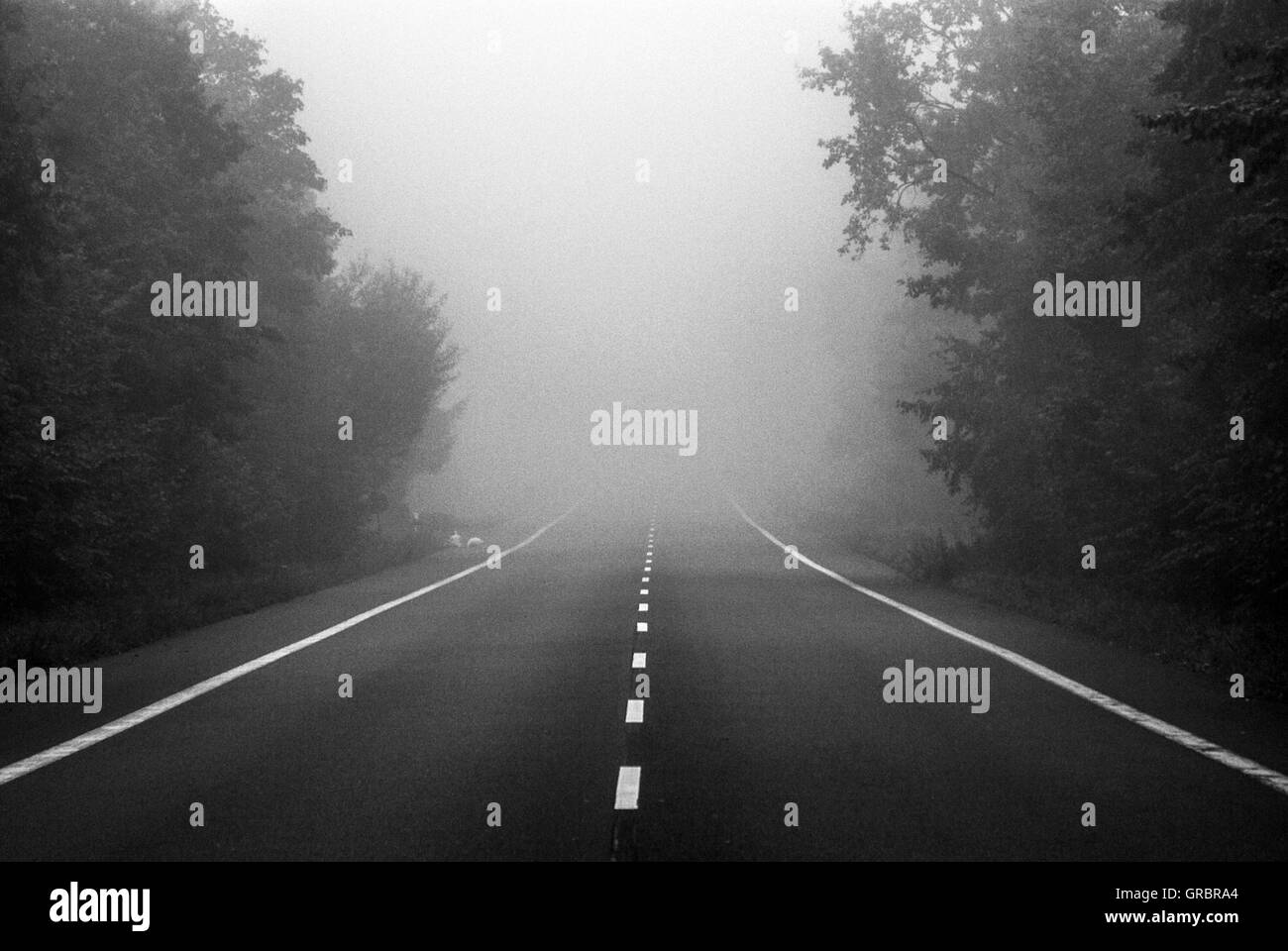 Road In The Fog Stock Photo - Alamy