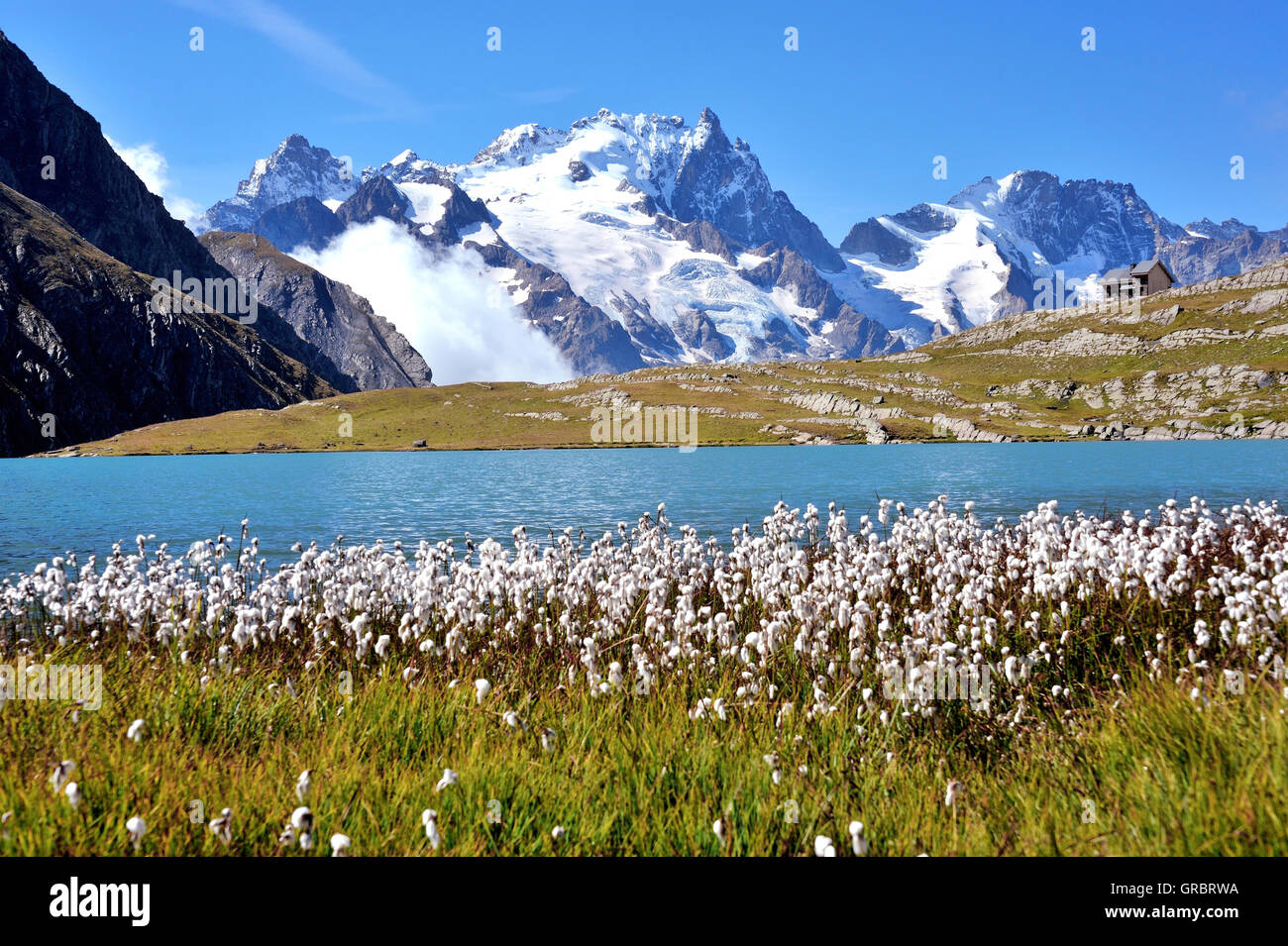 Moutain Lake Lac Goléon With Cotton Grass In The Foreground An The Mountain La Meije, French Alps, France Stock Photo