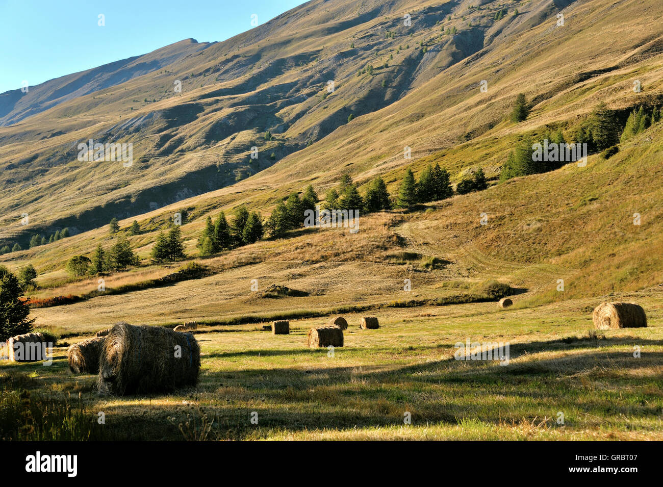 Moutain Pasture In The French Alps, France Stock Photo
