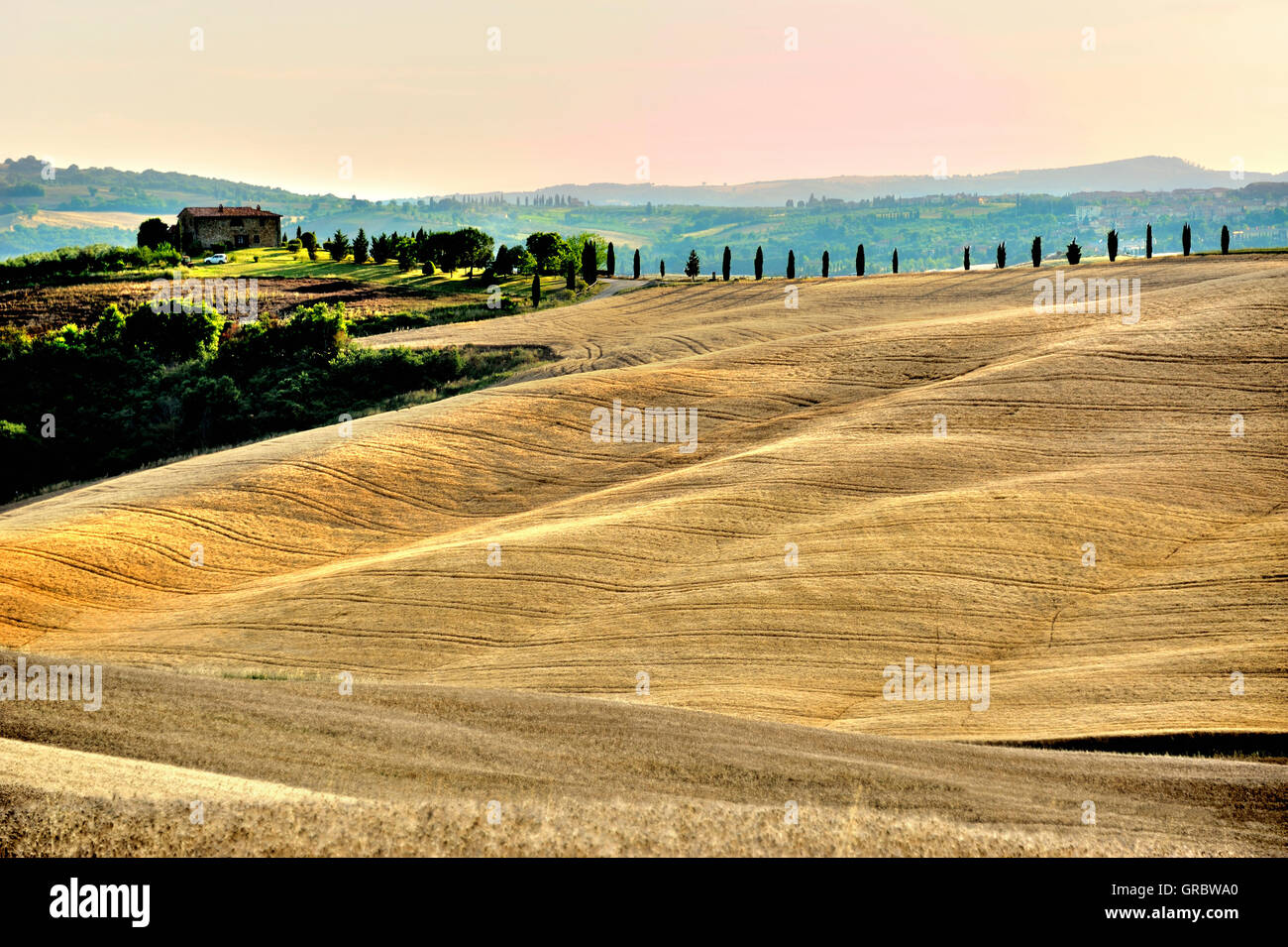 Rolling Hills Of Cornfields With Farming House And Cypress Alley, Tuscany, Italy Stock Photo