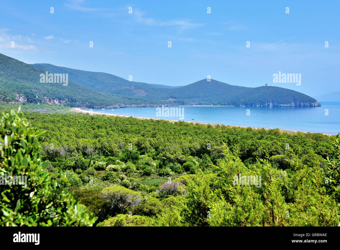Typical Landscape Of Maremma With Watch Towers, Southern Tuscany, Acient Farming Land, Conquered Back By Nature, Italy Stock Photo