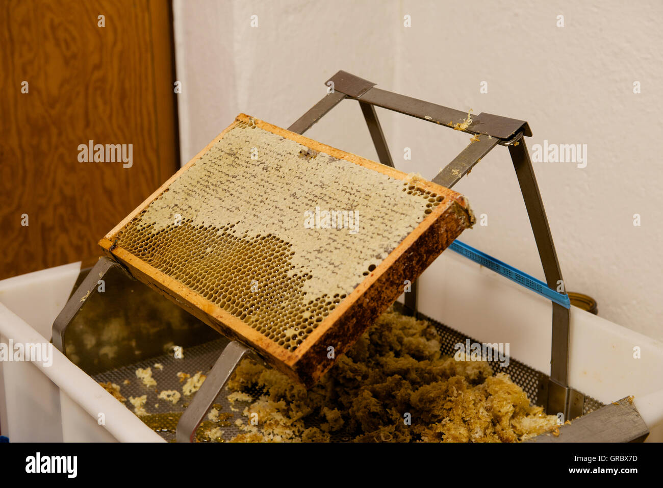 Honeycomb With Stuffed And Partly Capped Cells On Uncapping Tray Stock Photo