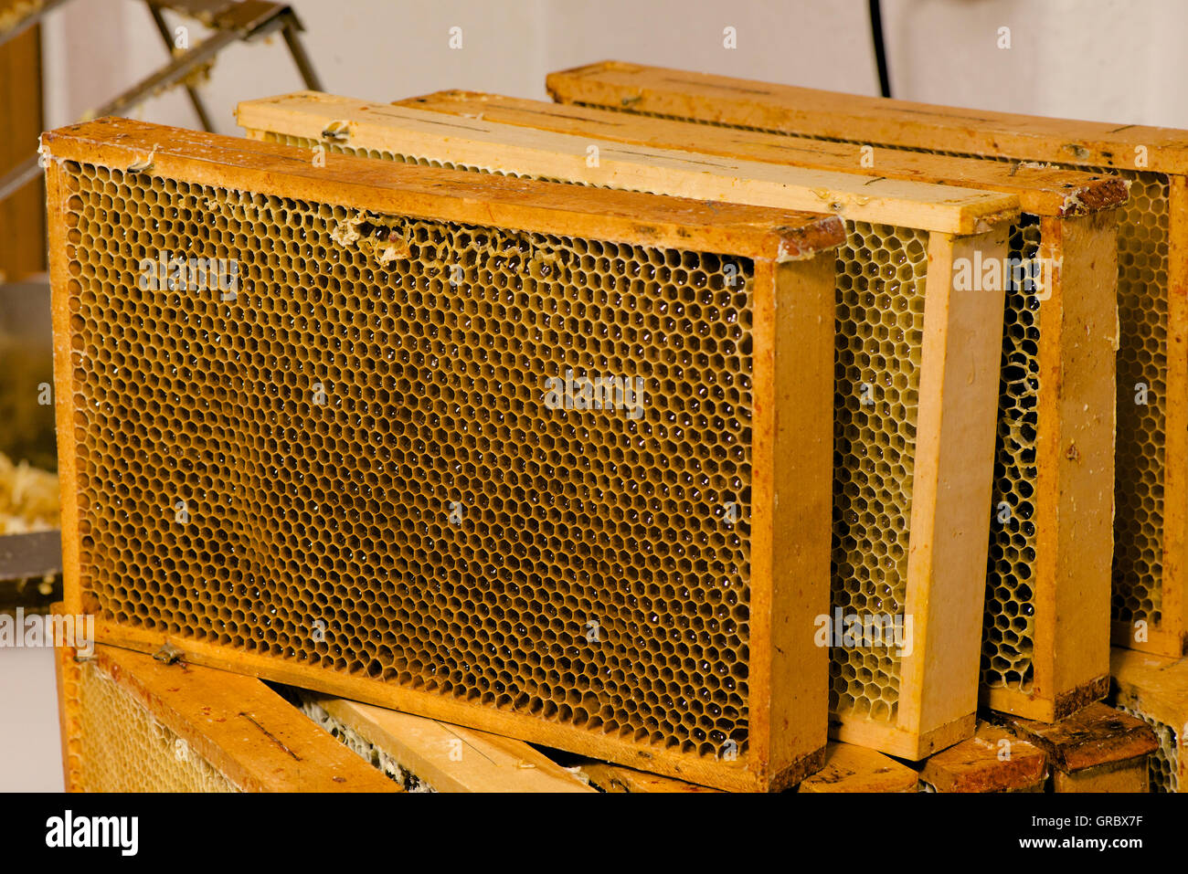 Decapped Honeycombs With Decapped Cells Ready To Be Placed In Honey Extractor ...