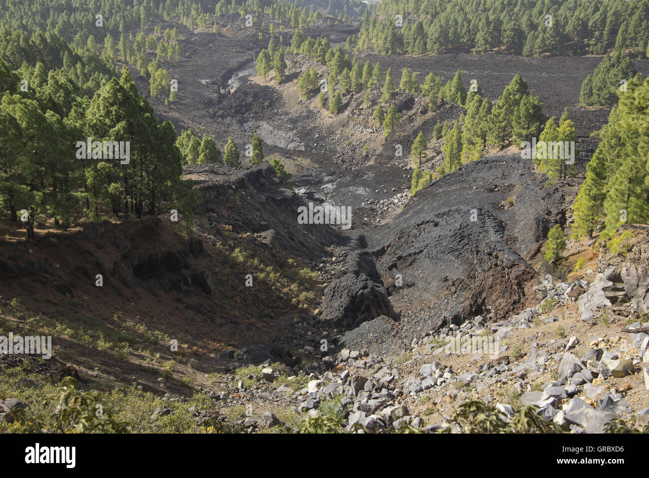 View Over The Crusted Lava Field Of San Juan, National Parc Cumbre Vieja, La Palma, Canary Islands Stock Photo