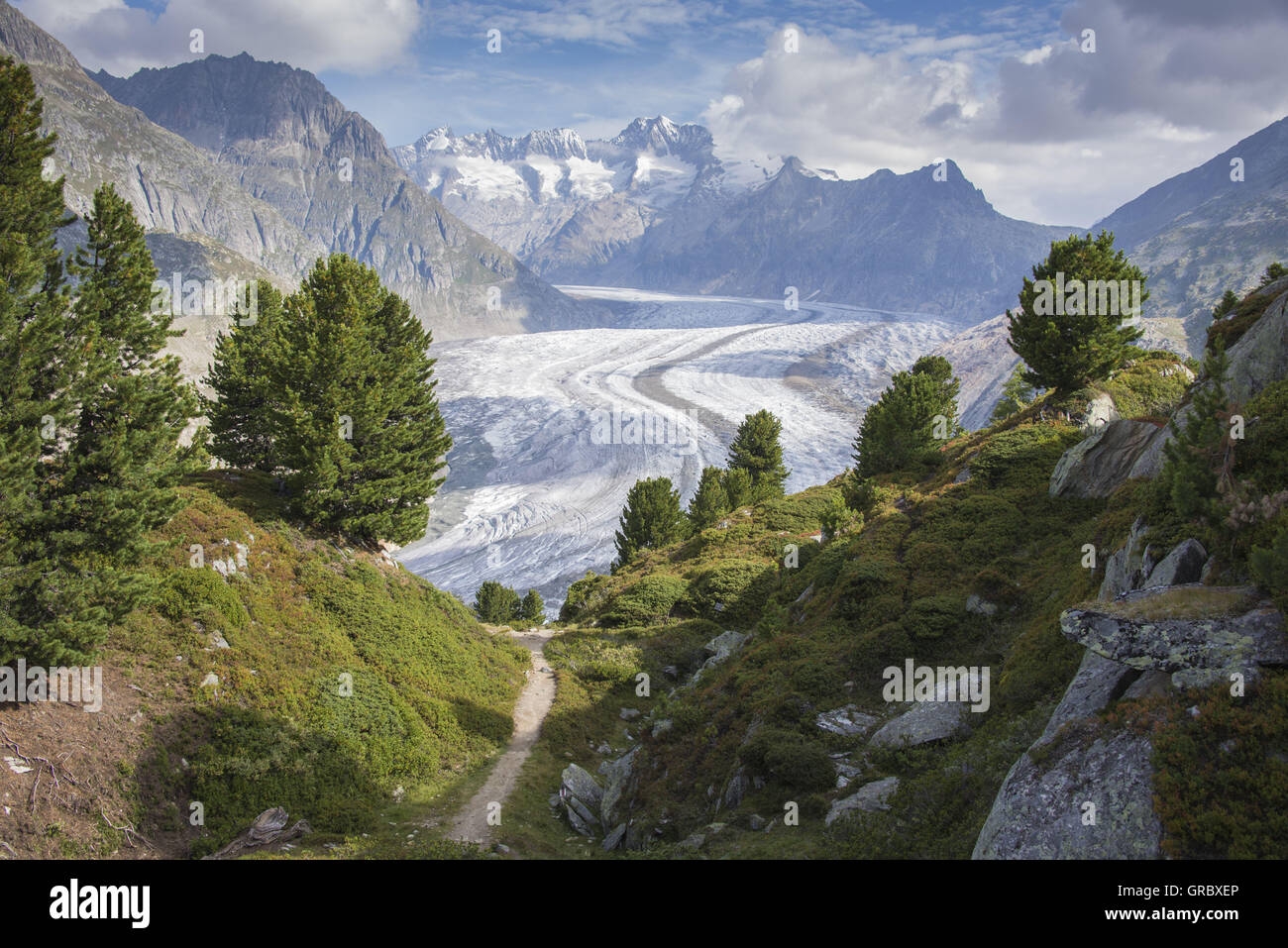View Over Hiking Path To The Great Aletsch Glacier And Bernese Alps Stock Photo