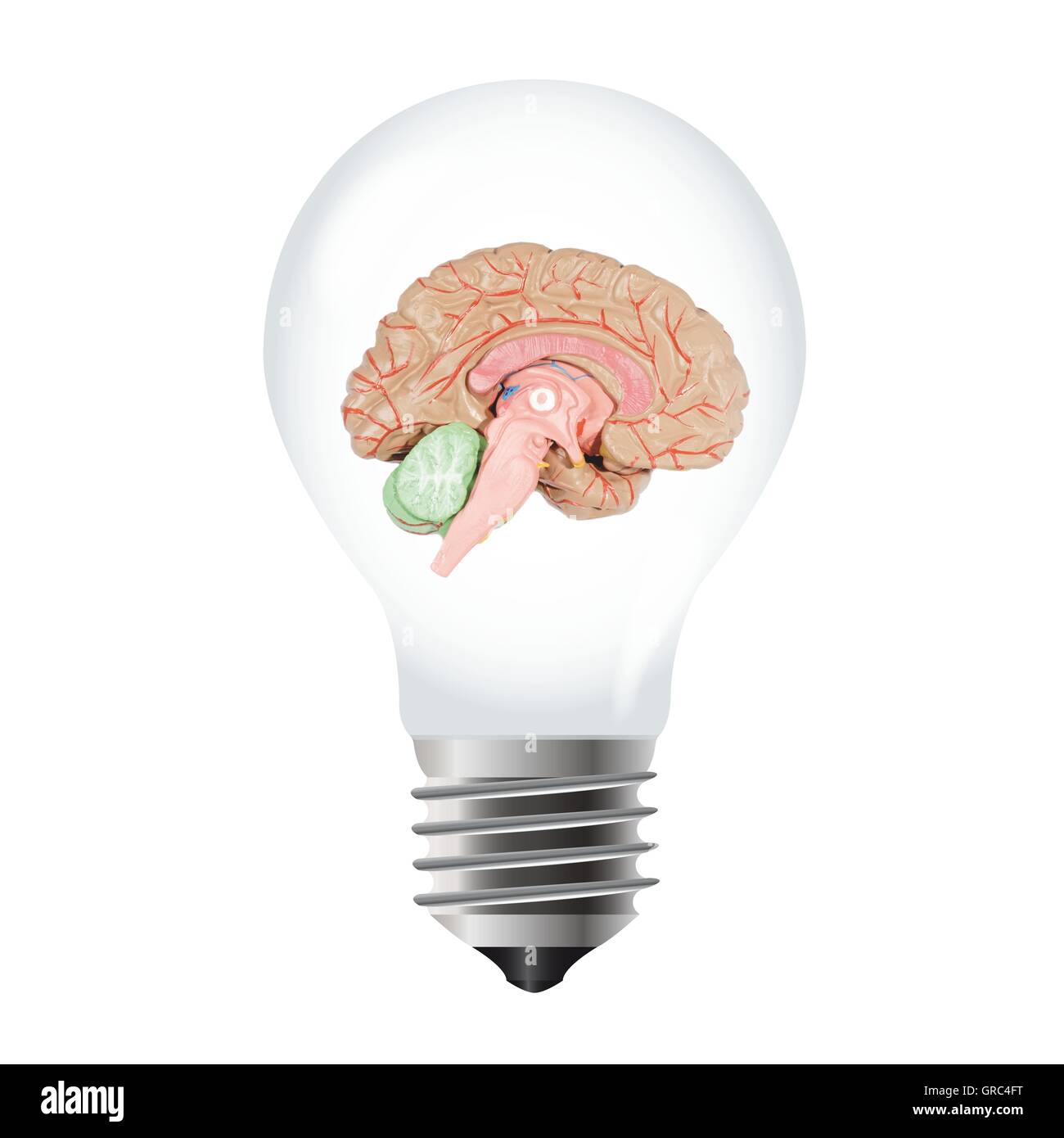 Illustration Of A Light Bulb With Human Brain Stock Photo