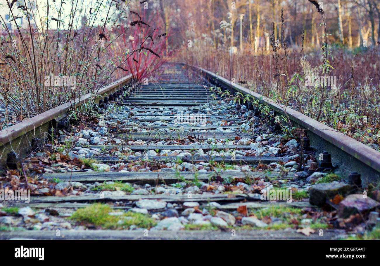 Rails Stock Photo