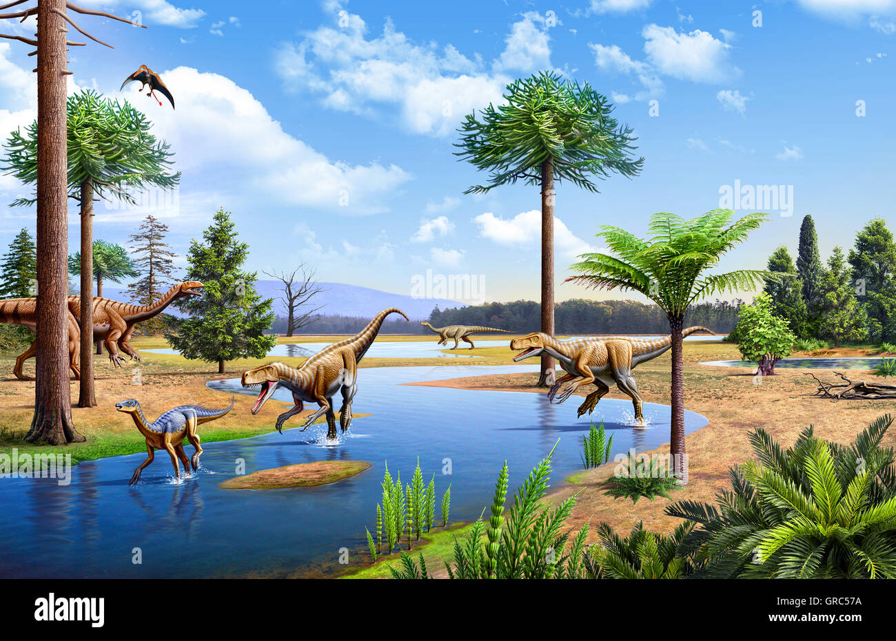 Triassic period - Two Herrerasaurus dinosaurs pursuing a Silesaurus and two Plateosaurus in the background and a Preondactylus Stock Photo