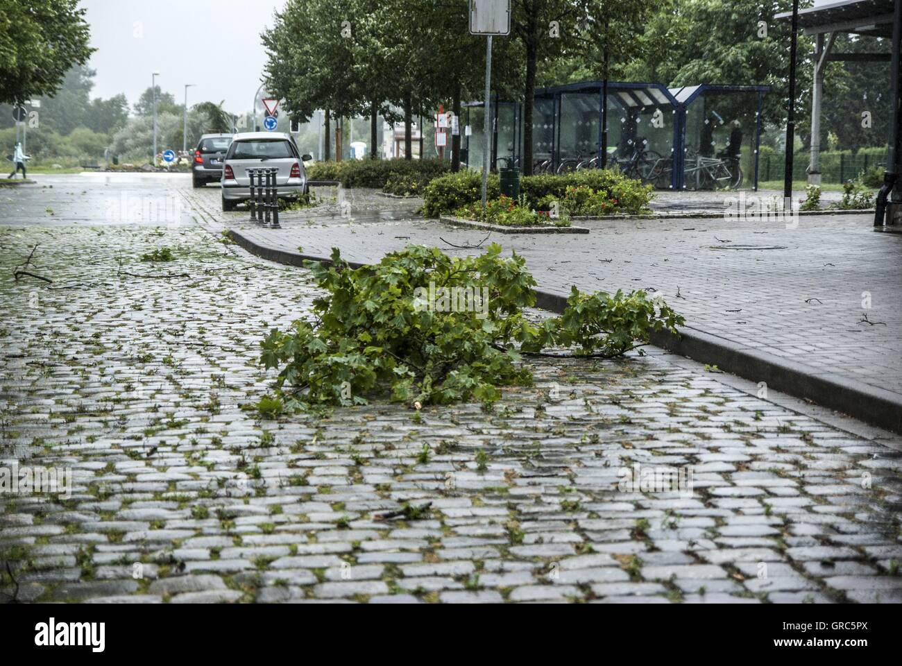 Weather, Thunderstorm, Storm, Branches, Trees, Bent Over, Fallen, Street Stock Photo
